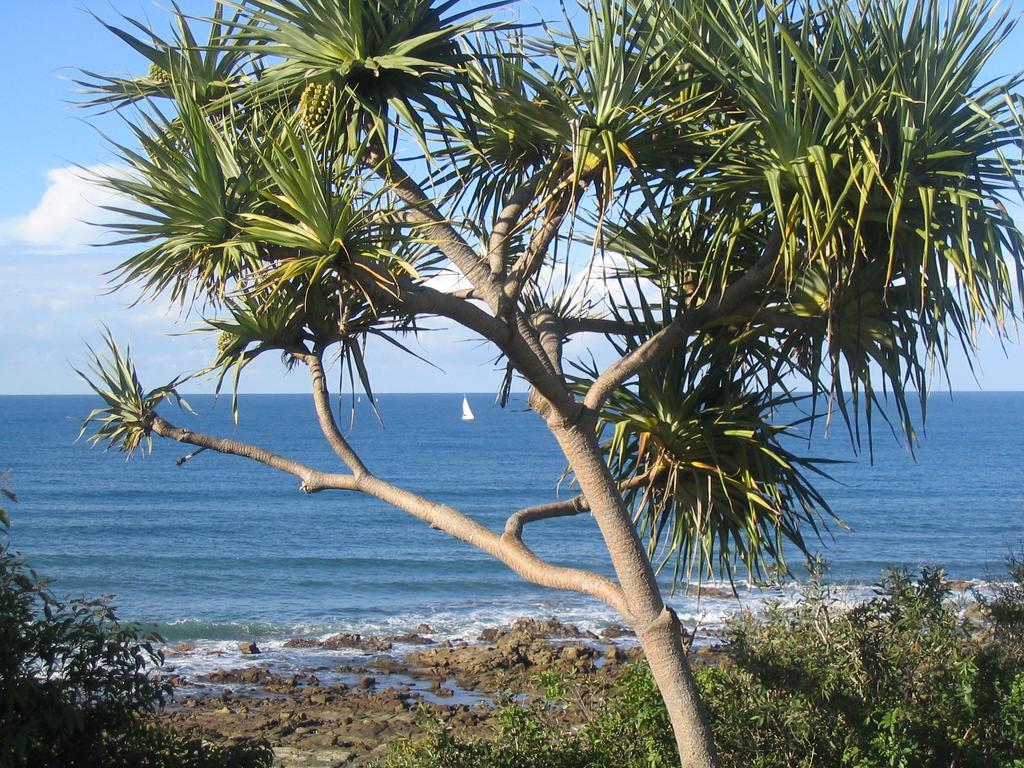 Aparthotel Headland Tropicana 3*